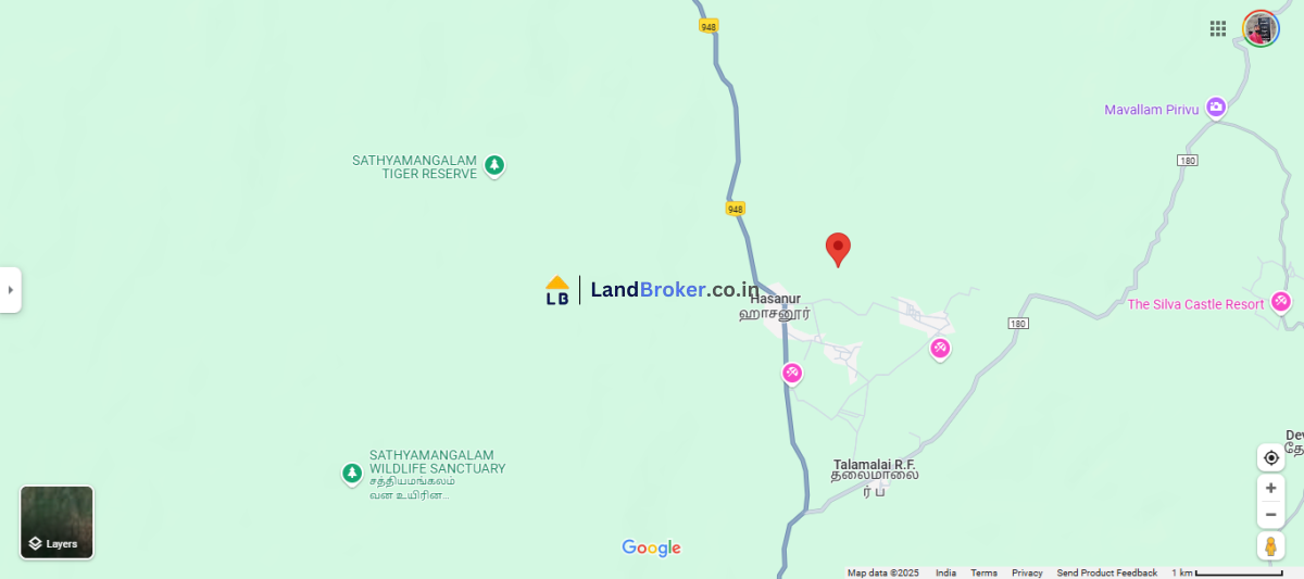 2 Acre Agricultural/Farm Land for Sale in Haasanur, Thalavadi, Erode District - Image# 5