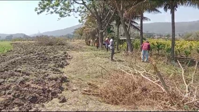 2 Acre Agricultural/Farm Land for Sale in Haasanur, Thalavadi, Erode District - Image# 1